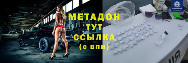 шишки Надым