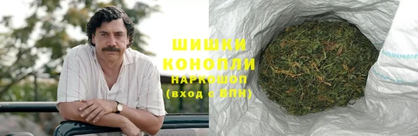 индика Навашино