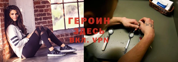 шишки Надым