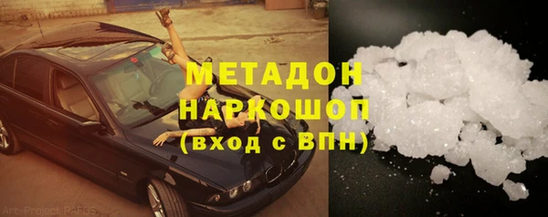 шишки Надым