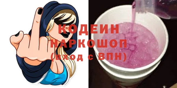 шишки Надым