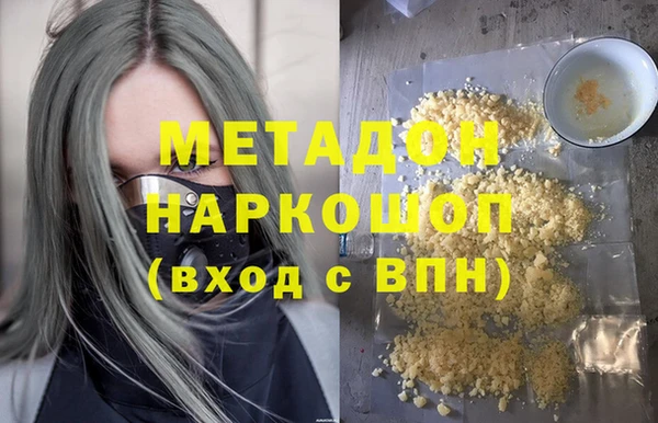 шишки Надым