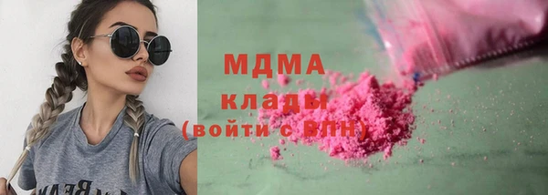 шишки Надым