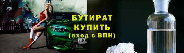 шишки Надым