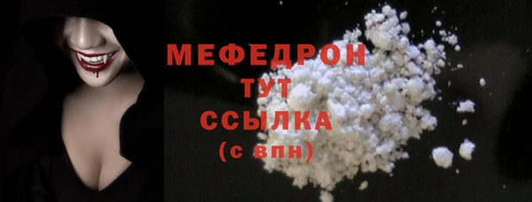шишки Надым