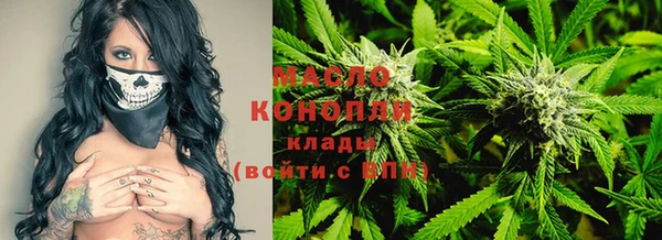 шишки Надым