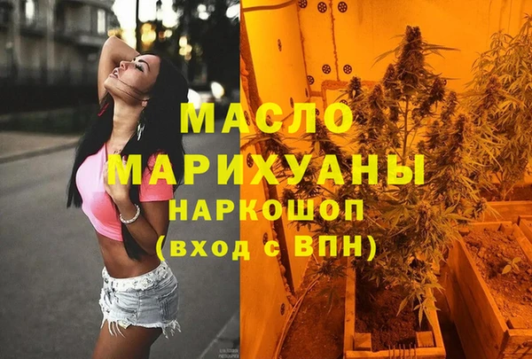 шишки Надым