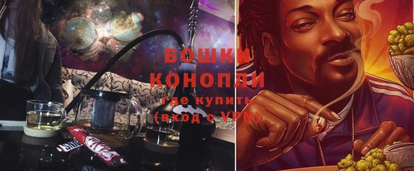 индика Навашино