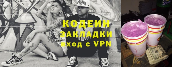 шишки Надым