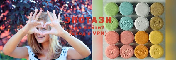 шишки Надым