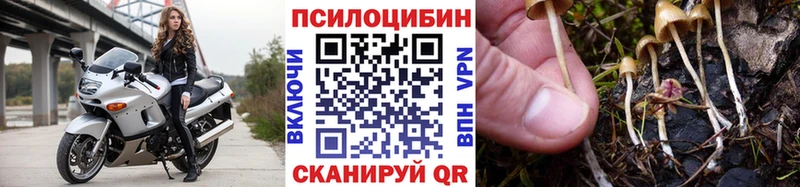 купить закладку  Заречный  Галлюциногенные грибы прущие грибы 